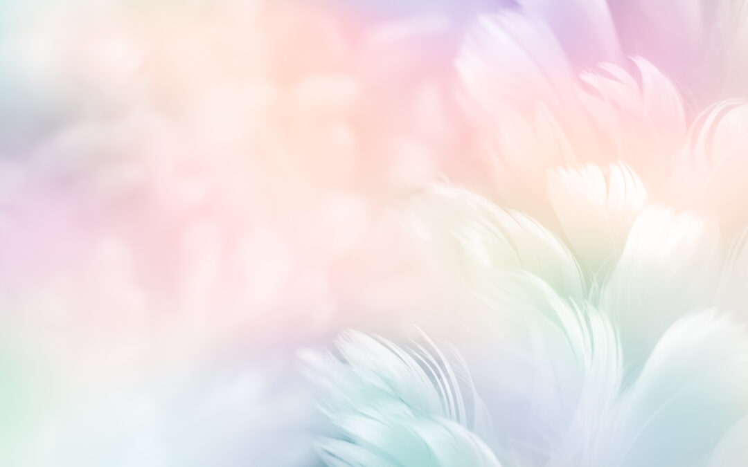Abstract,Feather,Rainbow,Patchwork,Background.,Closeup,Image,Of,White,Fluffy